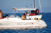 sample regataerotica2.jpg (50885 bytes)