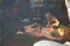 sample spring br nude oil wrestling pic 1.jpg (154585 bytes)