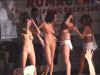 sample wet t 2 pic4.jpg (31171 bytes)
