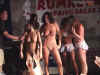 Image available in members area!