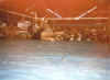 foxyboxing11.jpg (36832 bytes)