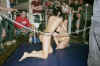 foxyboxing6.jpg (19662 bytes)