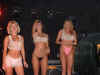 sampleholidayhooterspic3.jpg (82573 bytes)