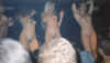 samplewtinkeys3a4pic8.jpg (27750 bytes)