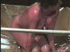 images/pussyfighterssample