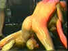 Large image available in members area!