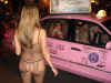 samplefantasyfest06pic29.jpg (55392 bytes)